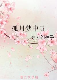孤月梦中寻封面
