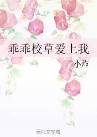 乖乖校草爱上我封面