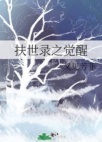 扶世录之觉醒封面