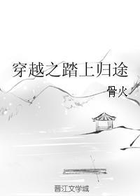 穿越之踏上归途封面