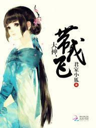 大神，带我飞封面
