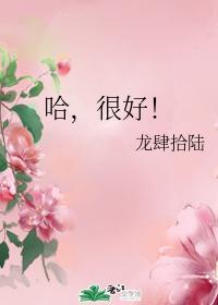 哈，很好！封面
