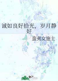 诚如良好拾光，岁月静好封面