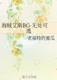 海贼艾斯BG-无处可逃封面