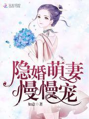 隐婚萌妻，轻轻抱封面