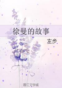 徐曼的故事封面
