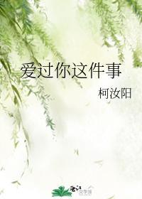 爱过你这件事封面