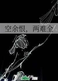 空余恨，两难全封面