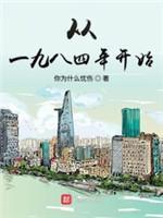 从一九八四年开始封面