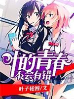 叶的青春不会有错封面