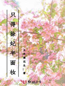 只得徐妃半面妆封面
