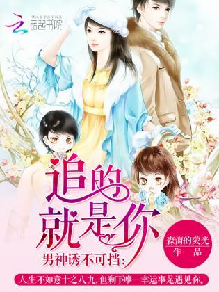 男神诱不可挡：追的就是你封面