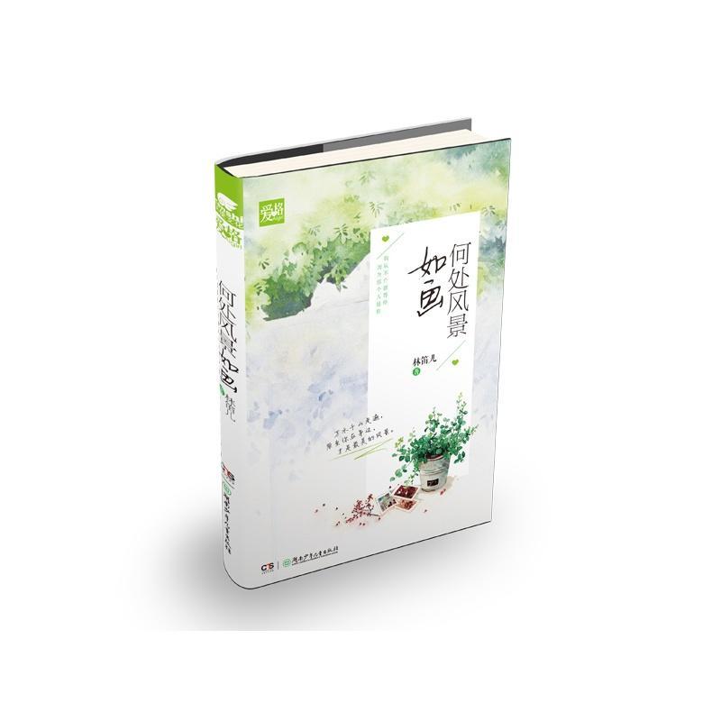 何处风景如画封面