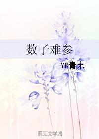 数子难参封面