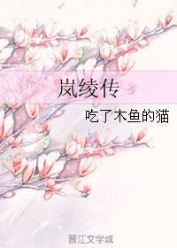 岚绫传封面