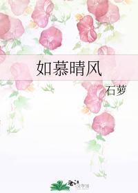 如慕晴风封面