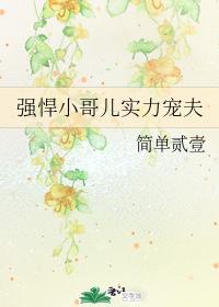 强悍小哥儿实力宠夫封面