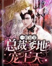 一胎双宝：总裁爹地宠上天封面