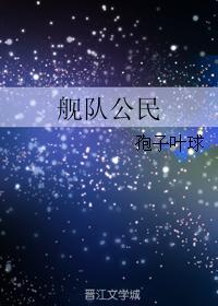 舰队公民封面