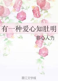 有一种爱心知肚明封面