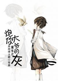 重生之炮你大爷的灰封面