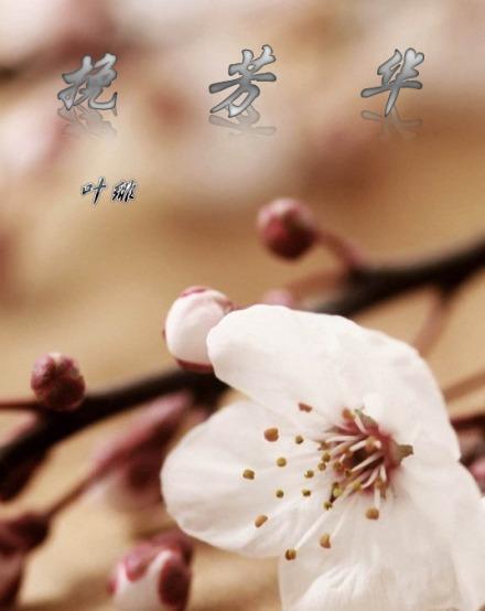 挽芳华封面