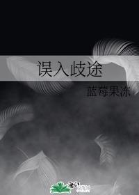 误入歧途封面