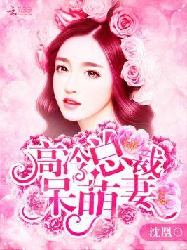 高冷总裁呆萌妻封面