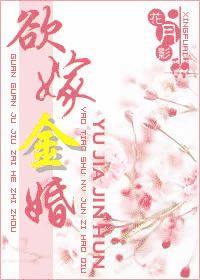 欲嫁金婚封面