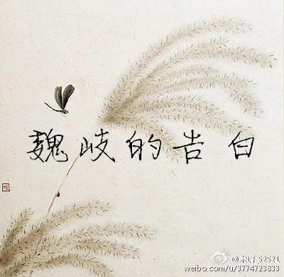 魏岐的告白封面