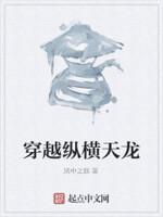 穿越纵横天龙封面