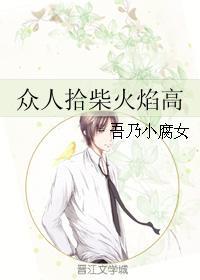 众人拾柴火焰高封面