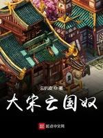 大宋亡国奴封面