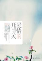 爱情的开关封面