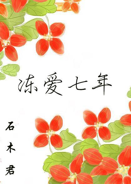 冻爱七年封面