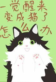 一觉醒来变成猫了怎么办封面