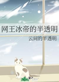 网王冰帝的半透明封面