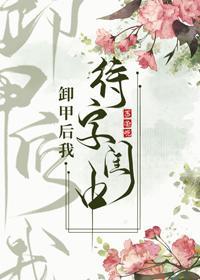 卸甲后我待字闺中封面