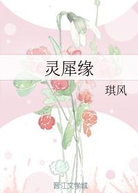 灵犀缘封面