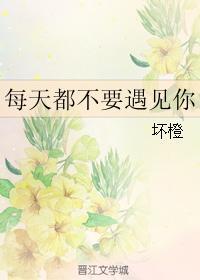 每天都不要遇见你封面