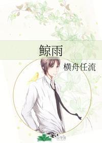 鲸雨封面