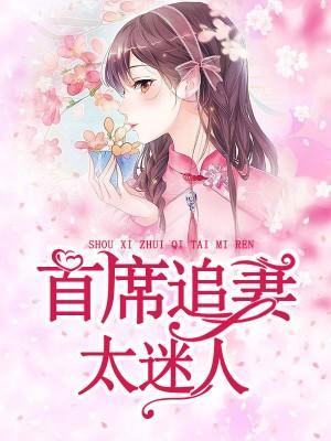 首席追妻太迷人封面