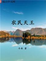 农民天王封面