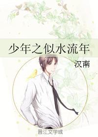 少年之似水流年封面
