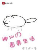 合作伙伴不是人封面