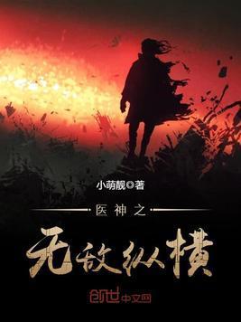 医神之无敌纵横封面