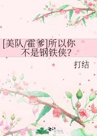 [美队霍爹]所以你不是钢铁侠？封面