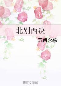 北别西决封面