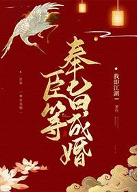 臣等奉旨成婚封面