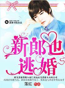 新郎也逃婚封面